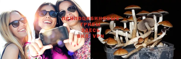 твердый Россошь