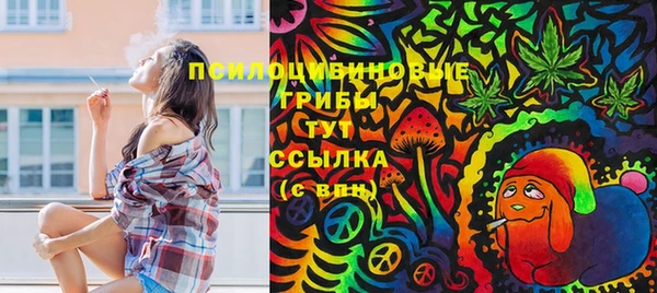 гашик Зеленокумск
